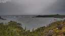 ./images/calvert/foggy-cove/20250527/foggy-cove20250527_173510M.jpg