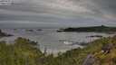 ./images/calvert/foggy-cove/20250528/foggy-cove20250528_091010M.jpg