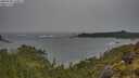 ./images/calvert/foggy-cove/20250528/foggy-cove20250528_150011M.jpg