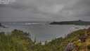 ./images/calvert/foggy-cove/20250528/foggy-cove20250528_165509M.jpg