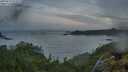 ./images/calvert/foggy-cove/20250529/foggy-cove20250529_051009M.jpg