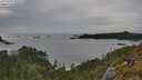 ./images/calvert/foggy-cove/20250529/foggy-cove20250529_185509M.jpg