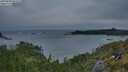 ./images/calvert/foggy-cove/20250530/foggy-cove20250530_052508M.jpg