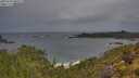 ./images/calvert/foggy-cove/20250530/foggy-cove20250530_080509M.jpg