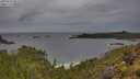 ./images/calvert/foggy-cove/20250530/foggy-cove20250530_081510M.jpg