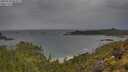 ./images/calvert/foggy-cove/20250530/foggy-cove20250530_082008M.jpg