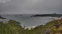 ./images/calvert/foggy-cove/20250530/foggy-cove20250530_084009M.jpg