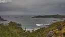 ./images/calvert/foggy-cove/20250530/foggy-cove20250530_093009M.jpg