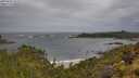 ./images/calvert/foggy-cove/20250530/foggy-cove20250530_102509M.jpg
