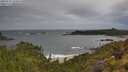 ./images/calvert/foggy-cove/20250530/foggy-cove20250530_103010M.jpg