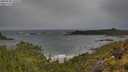 ./images/calvert/foggy-cove/20250530/foggy-cove20250530_105509M.jpg