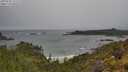 ./images/calvert/foggy-cove/20250530/foggy-cove20250530_111509M.jpg