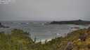./images/calvert/foggy-cove/20250530/foggy-cove20250530_115509M.jpg