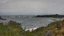 ./images/calvert/foggy-cove/20250530/foggy-cove20250530_123011M.jpg