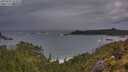 ./images/calvert/foggy-cove/20250530/foggy-cove20250530_213508M.jpg
