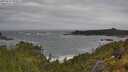 ./images/calvert/foggy-cove/20250531/foggy-cove20250531_090011M.jpg