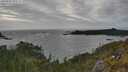 ./images/calvert/foggy-cove/20250531/foggy-cove20250531_183508M.jpg