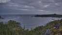 ./images/calvert/foggy-cove/20250601/foggy-cove20250601_045508M.jpg