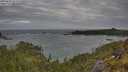 ./images/calvert/foggy-cove/20250601/foggy-cove20250601_072507M.jpg