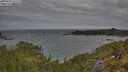 ./images/calvert/foggy-cove/20250601/foggy-cove20250601_081010M.jpg
