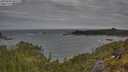 ./images/calvert/foggy-cove/20250601/foggy-cove20250601_081508M.jpg