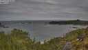 ./images/calvert/foggy-cove/20250601/foggy-cove20250601_082008M.jpg