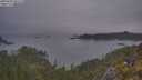 ./images/calvert/foggy-cove/20250603/foggy-cove20250603_051508M.jpg