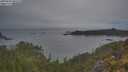 ./images/calvert/foggy-cove/20250603/foggy-cove20250603_060509M.jpg