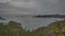 ./images/calvert/foggy-cove/20250603/foggy-cove20250603_063509M.jpg
