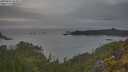 ./images/calvert/foggy-cove/20250603/foggy-cove20250603_064008M.jpg