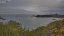 ./images/calvert/foggy-cove/20250603/foggy-cove20250603_065509M.jpg
