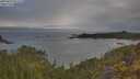 ./images/calvert/foggy-cove/20250603/foggy-cove20250603_072510M.jpg