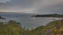 ./images/calvert/foggy-cove/20250603/foggy-cove20250603_073010M.jpg