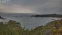 ./images/calvert/foggy-cove/20250603/foggy-cove20250603_074008M.jpg