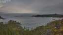./images/calvert/foggy-cove/20250603/foggy-cove20250603_074509M.jpg