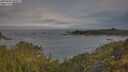 ./images/calvert/foggy-cove/20250603/foggy-cove20250603_080010M.jpg