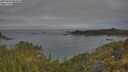 ./images/calvert/foggy-cove/20250603/foggy-cove20250603_082010M.jpg