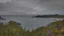 ./images/calvert/foggy-cove/20250603/foggy-cove20250603_083011M.jpg