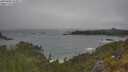 ./images/calvert/foggy-cove/20250603/foggy-cove20250603_103011M.jpg