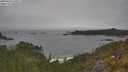 ./images/calvert/foggy-cove/20250603/foggy-cove20250603_120507M.jpg