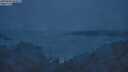 ./images/calvert/foggy-cove/20250604/foggy-cove20250604_044509M.jpg