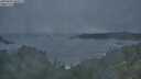 ./images/calvert/foggy-cove/20250604/foggy-cove20250604_050508M.jpg