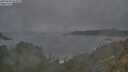 ./images/calvert/foggy-cove/20250604/foggy-cove20250604_052008M.jpg
