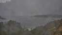 ./images/calvert/foggy-cove/20250604/foggy-cove20250604_052507M.jpg