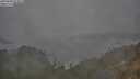 ./images/calvert/foggy-cove/20250604/foggy-cove20250604_053008M.jpg
