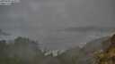 ./images/calvert/foggy-cove/20250604/foggy-cove20250604_055009M.jpg