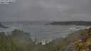 ./images/calvert/foggy-cove/20250604/foggy-cove20250604_055508M.jpg