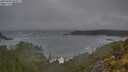 ./images/calvert/foggy-cove/20250604/foggy-cove20250604_060010M.jpg
