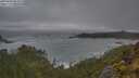 ./images/calvert/foggy-cove/20250604/foggy-cove20250604_062010M.jpg