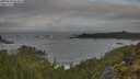./images/calvert/foggy-cove/20250604/foggy-cove20250604_063010M.jpg